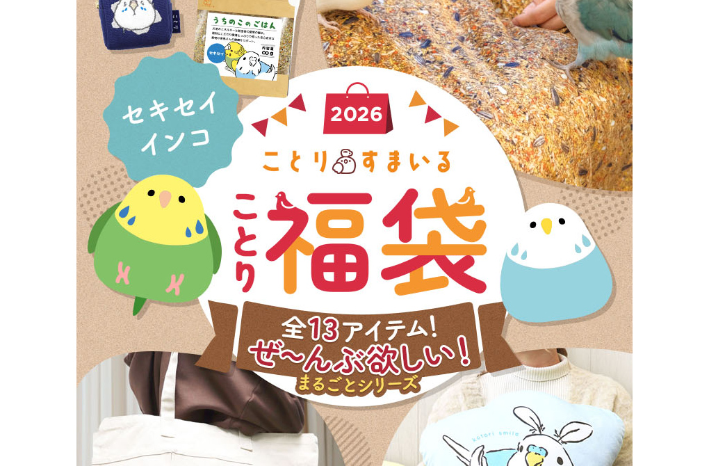 ことりすまいる ことり福袋26 商品ページの制作実績メイン画像