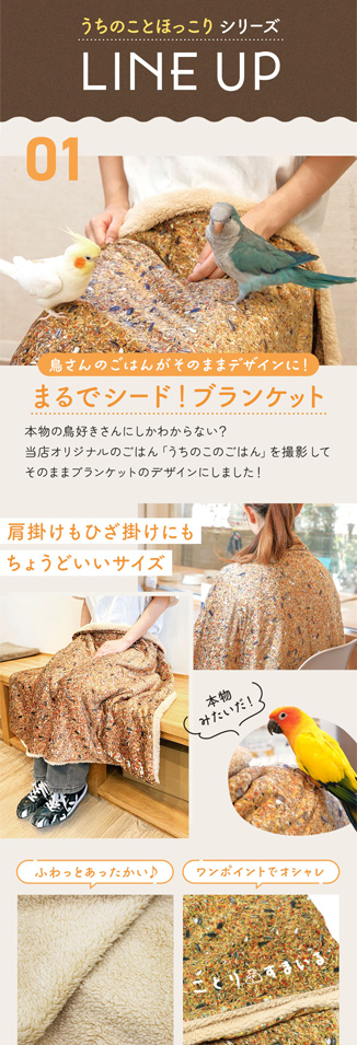 EXCEED JAPANの実績画像[5517]