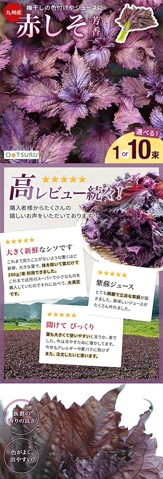 大津留青果の実績画像[5673]
