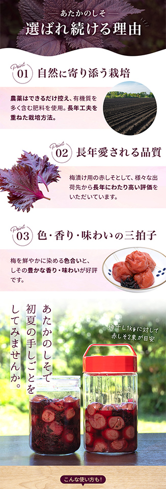 大津留青果の実績画像[5674]