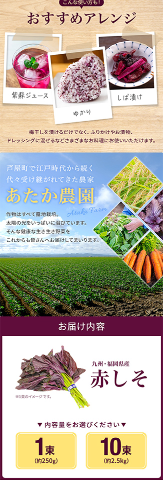 大津留青果の実績画像[5672]